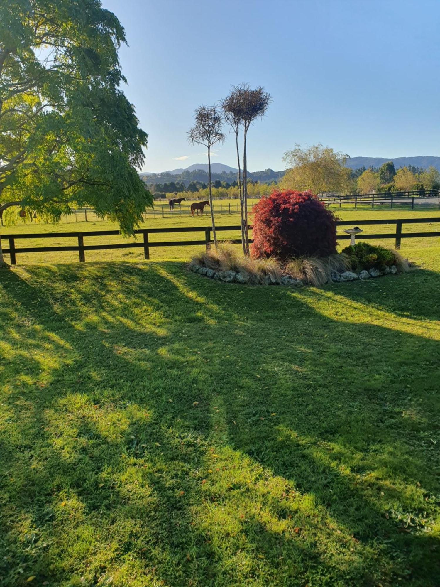 Mangaroa, Farmstay Upper Hutt Exterior foto